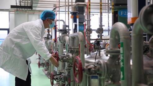 責任民企顯擔當，靠上服務助復產——泰安生物技術企業馳援抗疫一線