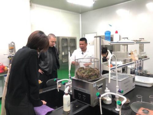 科技賦能農業新篇章 CCTV 1聚焦云谷田園LED植物工廠，珍稀本草金線蓮成功培育引領生物技術新服務